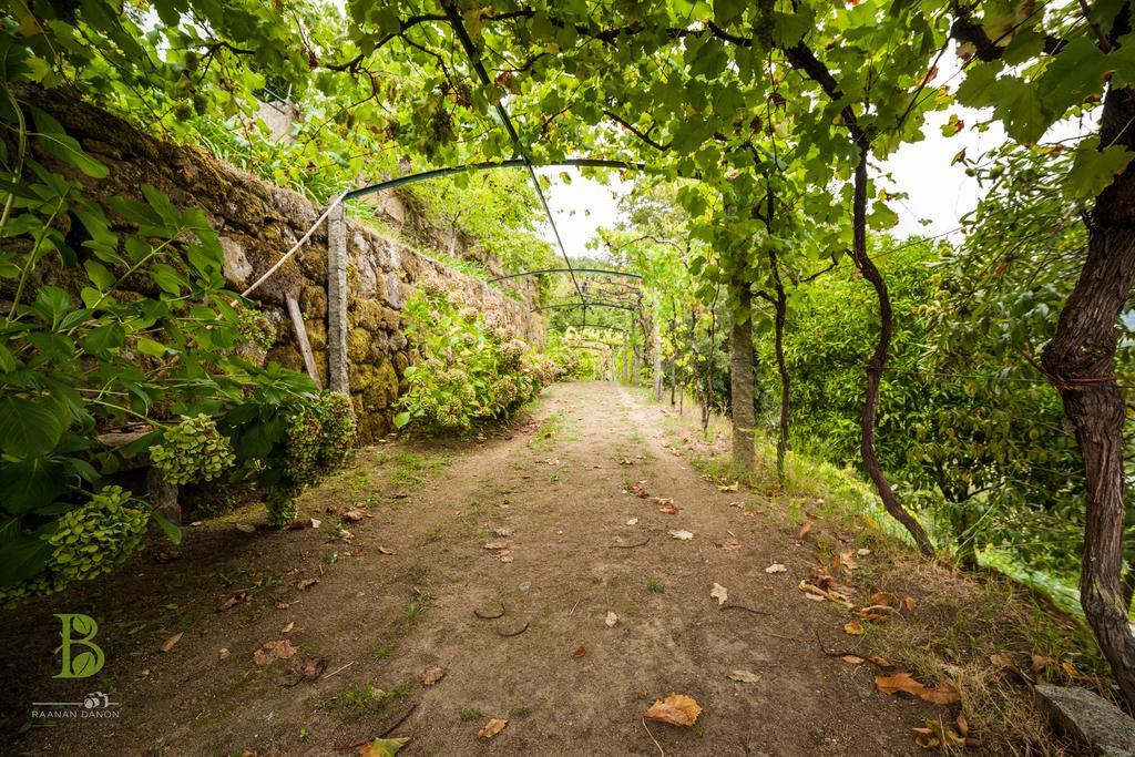 Quinta da Bouça - Agroturismo Pacos de Gaiolo Quarto foto
