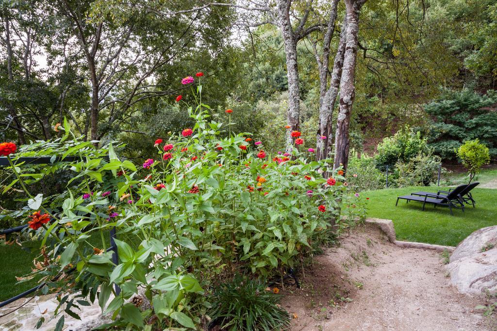 Quinta da Bouça - Agroturismo Pacos de Gaiolo Quarto foto